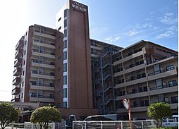 パレス草加松原 201