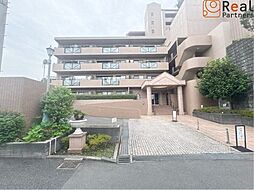ラムセス横浜星川
