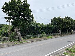 石垣市字宮良の土地
