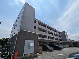 フラット大観 203