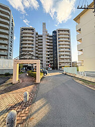 ウッディマンション森舘 8階 ３ＬＤＫ 802