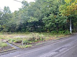 北軽井沢　土地