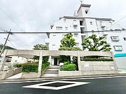 コティ横木