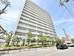ディアエスタミオ南住吉壱番館 803