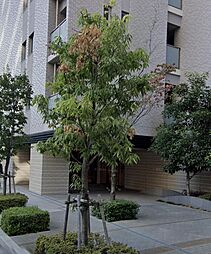 マストメゾン城東中央 1407