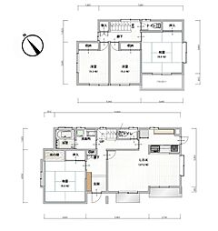 FelidiaReno名取市高舘吉田前沖（No.1053）