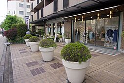 夕陽丘セントポリア
