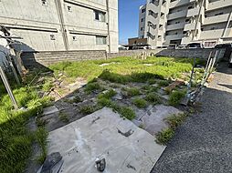 板野郡北島町鯛浜字かや