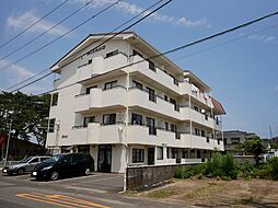 マーメイド 302