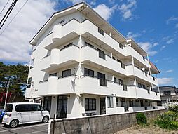 マーメイド 303