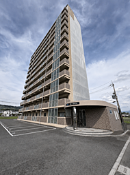 GM　IWADE 206