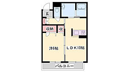シャーメゾンバミューダグラス