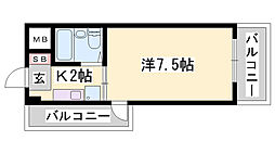 ソフィア辻井