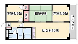 ロフティ津市場