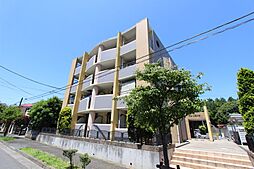 イルリモーネ 303