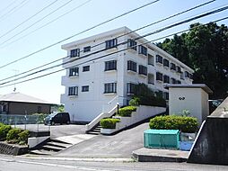 サンライズ湘南 203