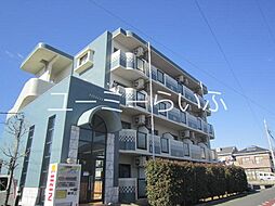フェリシティ 203