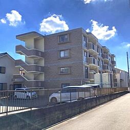 ルミエール湘南 104