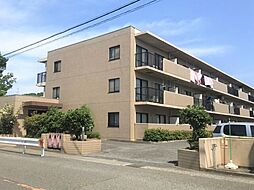 ロイヤルコート寒川 305