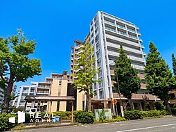 ゼファーアートフィールズ　カームステージ