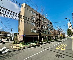 サンフル碑文谷碑さくら通りNORTH SIDE
