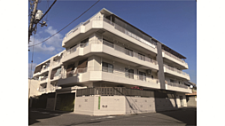 マキシマコーポ ４03