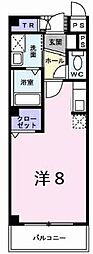 ヴェルテクス