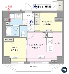 エグザレオーネ蔵前1101号室