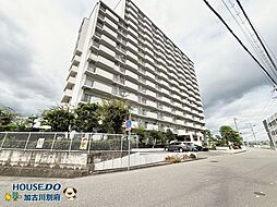 万葉ハイツ東加古川　15F