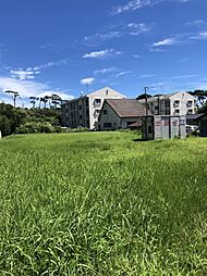 大島町差木地売地