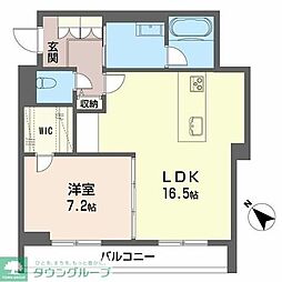 サントリナ 0201