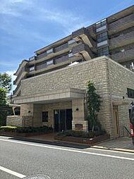 ラフィーヌ桜新町 204