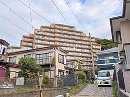 ライフレビュー藤沢ヒルズ