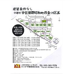 売地　中巨摩郡昭和町西条