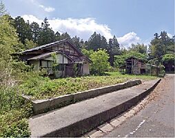新穂青木