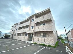 ラヴィドールII 304