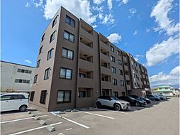 ＮＥＷ　ＰＩＡＺＺＡ 307