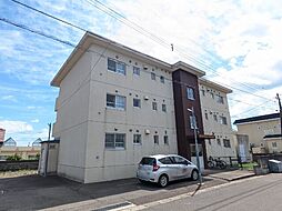 ポチタマたによし 202