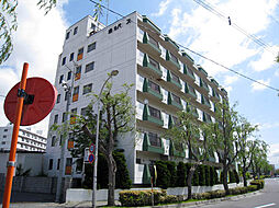 湯川パレス 601