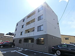 レイ 204