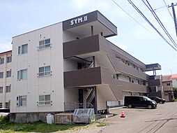 シムII 307