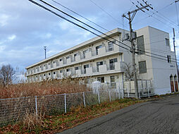 アシスト函館マンション 107