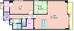 ヴェルドミール・ユモト
