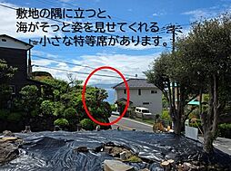 足柄下郡真鶴町真鶴1516