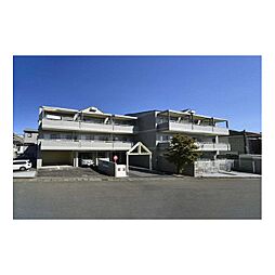 テラスヤマウチ 207
