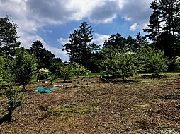 中軽井沢土地