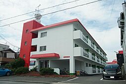 ステラマリス伸和 303