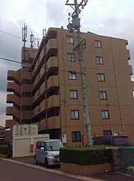 マーブル幸ヶ丘 A6