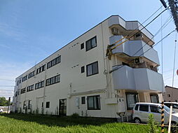 ベルトピア金沢4 307