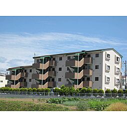シティパル戸塚III 403